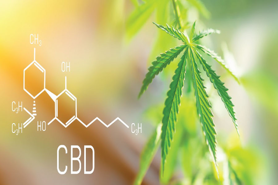 What is CBD?